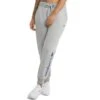 CHAMPION Women's Powerblend Fleece Joggers -Active Luxe Shop 2078680 002 main